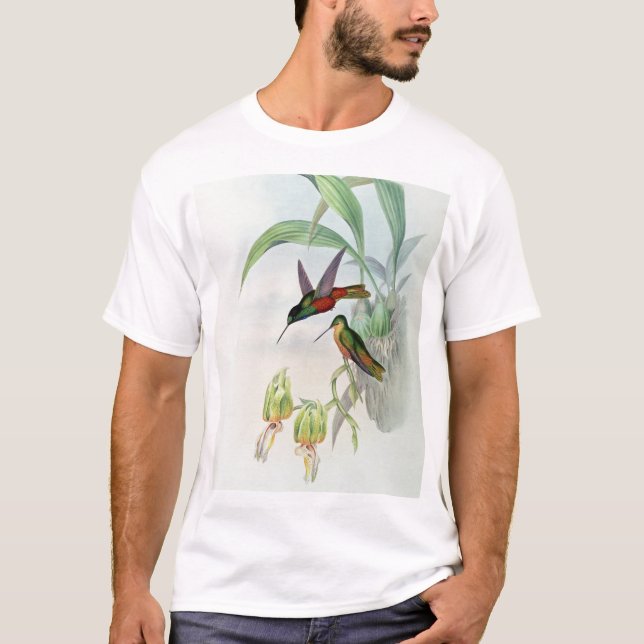 Färgade Bonapartes stjärna beklädde Hummingbird T Shirt (Framsida)
