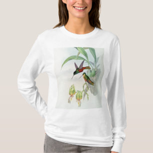 Färgade Bonapartes stjärna beklädde Hummingbird Tee
