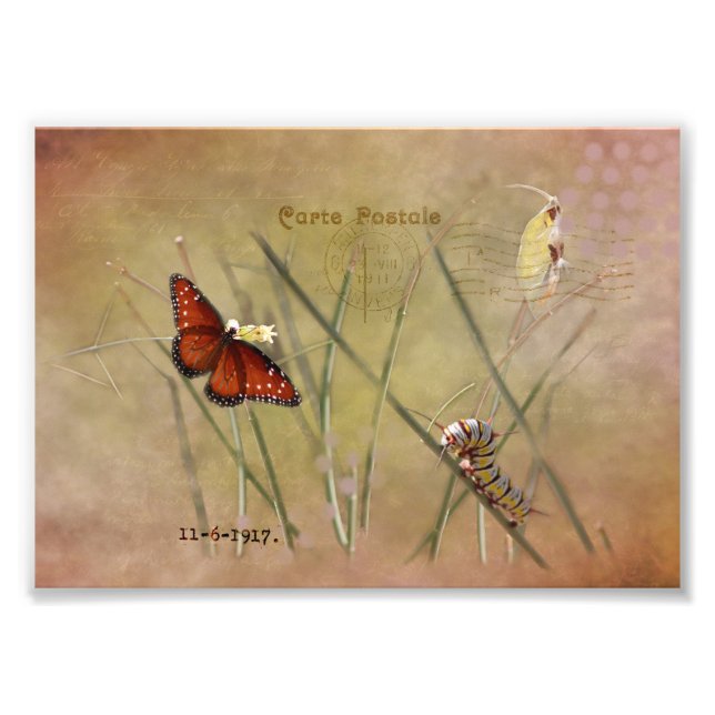 Färgade Lady Mixed Media Fototryck (Framsidan)