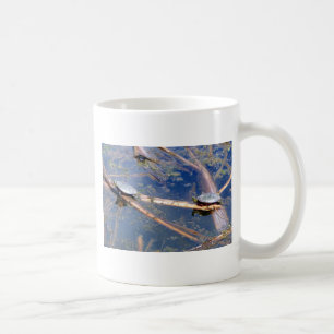 Färgade sköldpaddor (Chrysemys picta) Kaffemugg