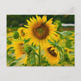 Färgade solblommor vykort