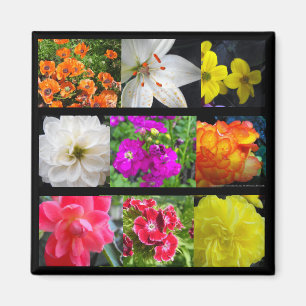färgade trädgårdsblommor magnet