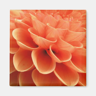 Färgaden Dahlia Flower Petals Magnet
