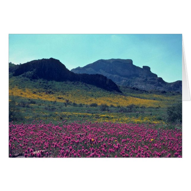 Färgader Hälsningskort (Framsidan Horizontal)