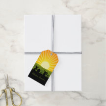 Färgägg för kute Påskhare