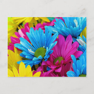 Färgämnen av Shock rosa Teal Blue Gerber Daisys Fl Vykort