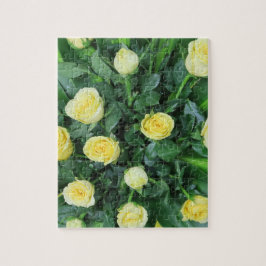 Färgämnen+ blommor, trädgård + gnom. pussel