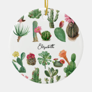 Färgämnen för vattenfärgaktus- och succulents-blom julgransprydnad keramik