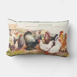 Färgämnen för vintage av kycklingar i dekorativ ku lumbarkudde
