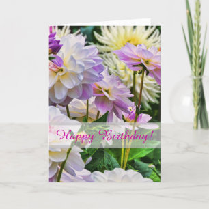Färgämnen i Dahlia Flowers Grattis på födelsedagen Kort