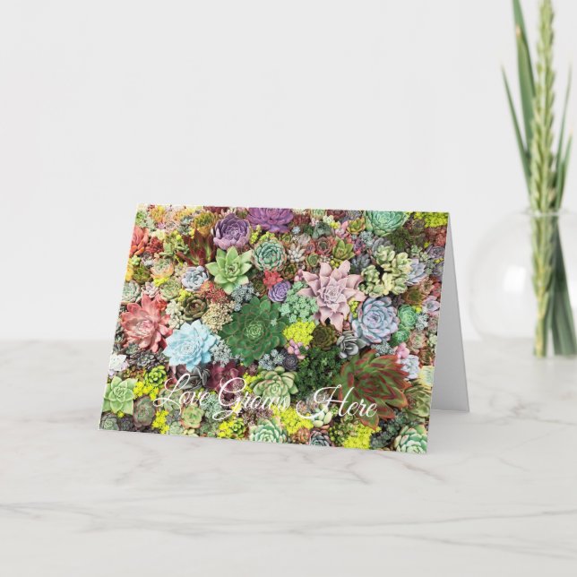 Färgämnen i form av självhäftande ämnen kort (Framsida)