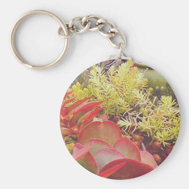 Färgämnen i form av självhäftande ämnen nyckelring (Framsidan)