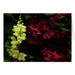 Färgämnen i Snapdragon och Pagoda Flowers Blommigt Hälsningskort