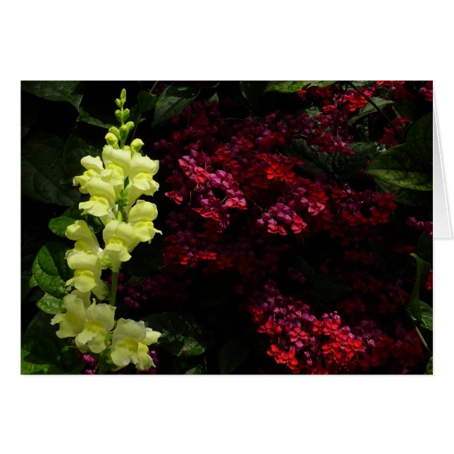 Färgämnen i Snapdragon och Pagoda Flowers Blommigt Hälsningskort (Framsidan Horizontal)