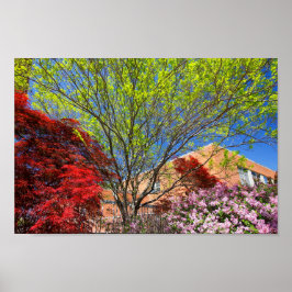 Färgämnen i Träd och buskar i Vår Poster