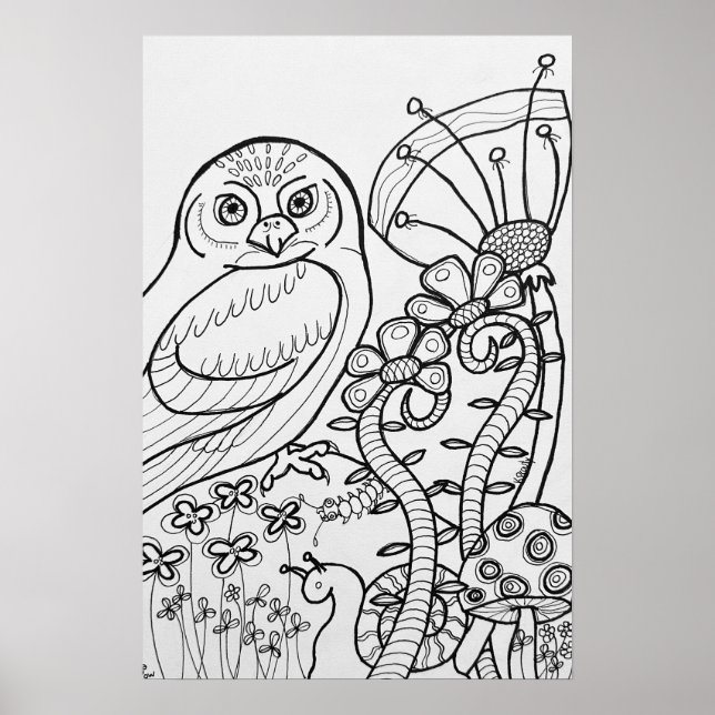Färgämnen i uggla poster 16 x 24 tum poster (Framsidan)