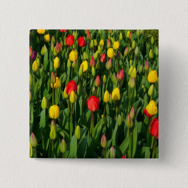 Färgämnen Knapp (Framsida)