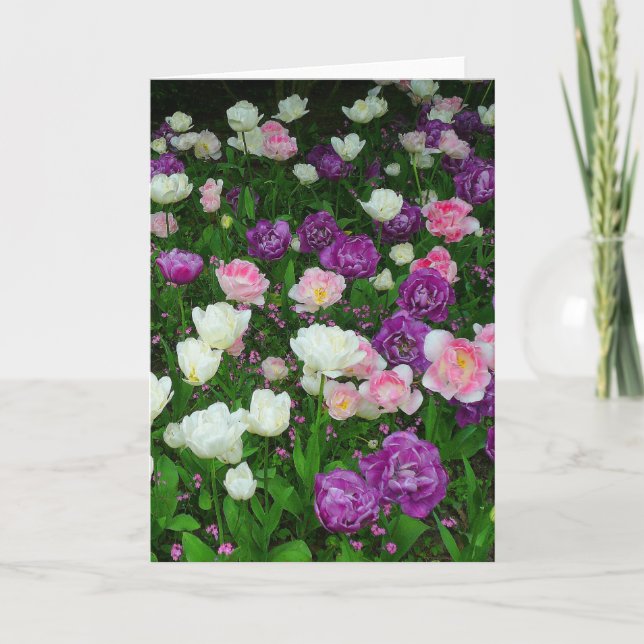 Färgämnen Kort (Framsida)