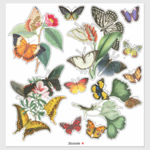 Färgämnen och blommor av Vintage Art Butterflies o Klistermärken