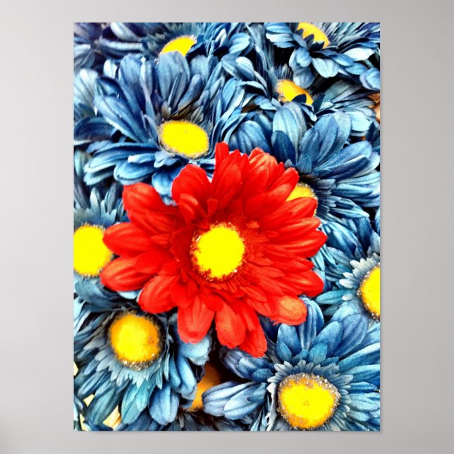 Färgämnen Orange Red Blue Gerber Daisys Flowers Poster (Framsidan)