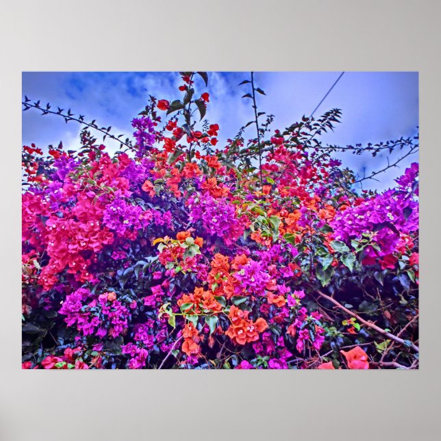 Färgämnen poster (Framsidan)