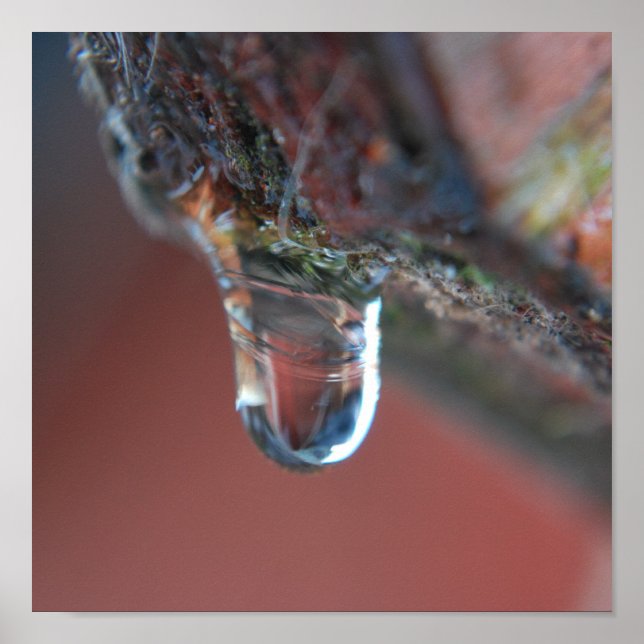 Färgämnen Poster (Framsidan)