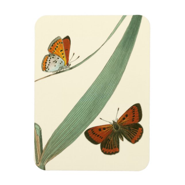 Färgämnen som flödar runt Löv Magnet (Vertikal)