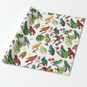 Färgämnen, tropiska partiklar, Löv och blommor Presentpapper