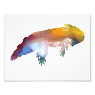 Färgämnet abstrakt-axolotl-silhuett fototryck
