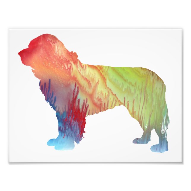 Färgämnet abstrakt newfoundland silhouette fototryck (Framsidan)