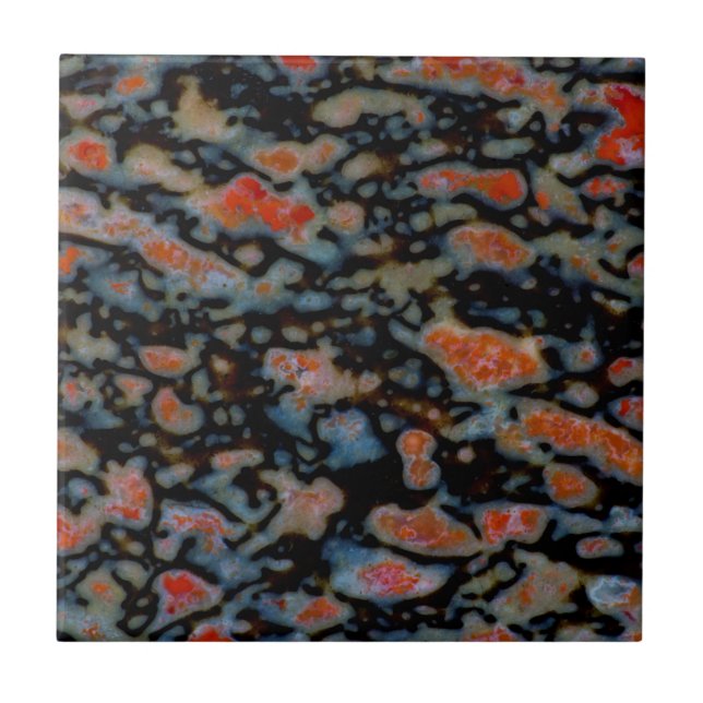 Färgämnet benfritt dinosaurium kakelplatta (Framsidan)