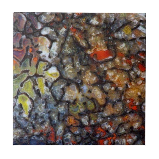 Färgämnet dinosaurieben kakelplatta (Framsidan)