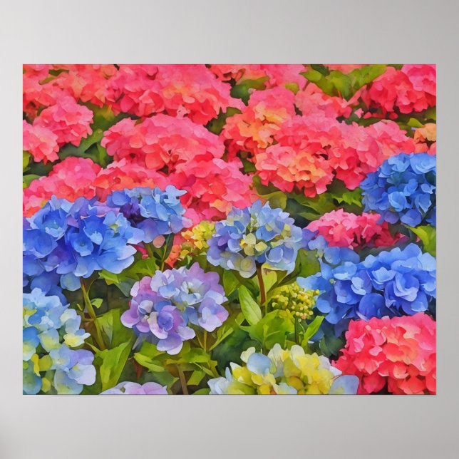 Färgämnet Hydrangea Flowers Watercolor Stil Art Poster (Framsidan)