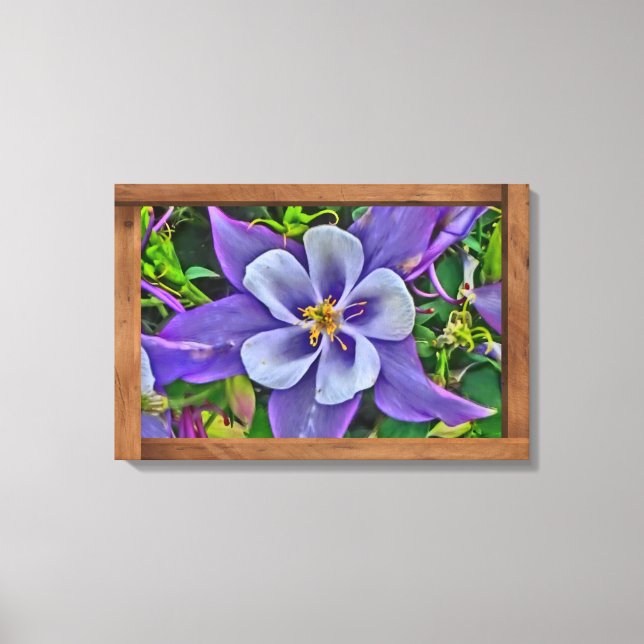 Färgämnet kolumbin Colorado-blomsterarbetsytekonst Canvastryck (Framsida)