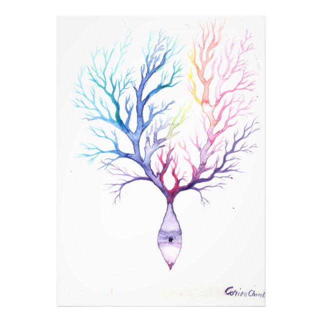 Färgämnet Purkinke neuron Fototryck (Framsidan)