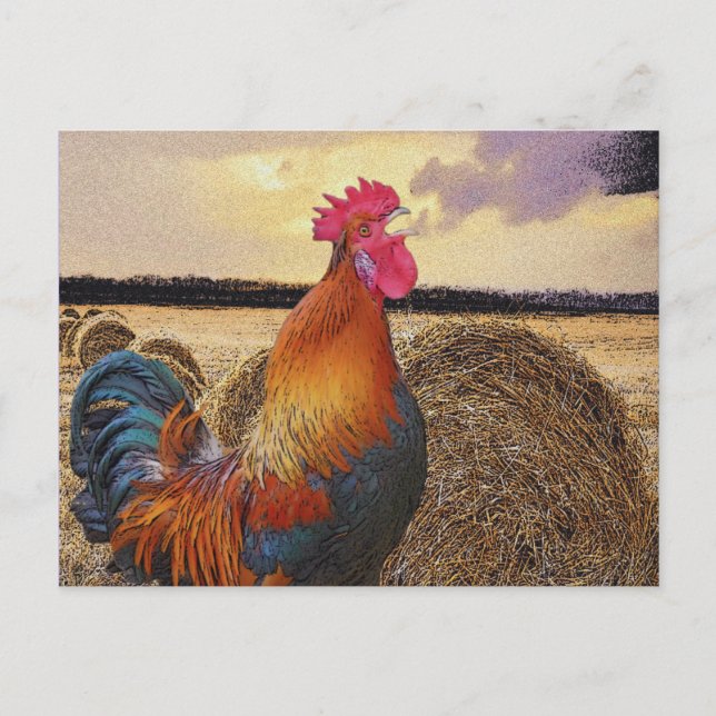 Färgämnet Tupp och Hay Bale Vykort (Framsida)