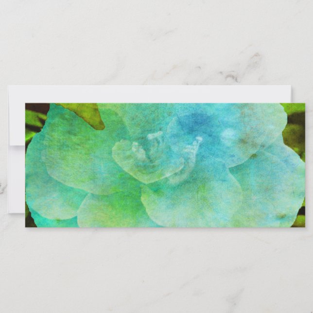 Färgat av Shirley Taylor (Framsida)