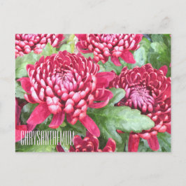 Färgat Chrysanthemums Vågrät Postcard Vykort