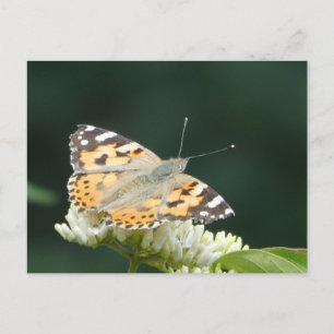 Färgat Dam Butterfly DIY-vykort Helg Vykort