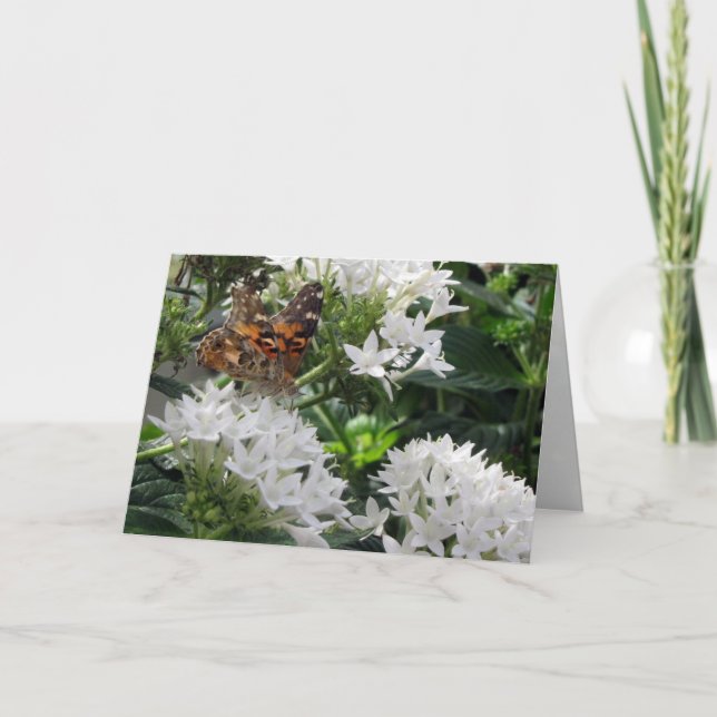 Färgat födelsedagskort för Dam Butterfly Kort (Framsida)