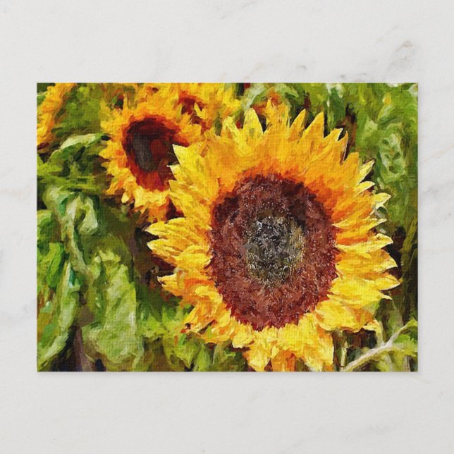 Färgat Gult Solblommor Vykort (Framsida)