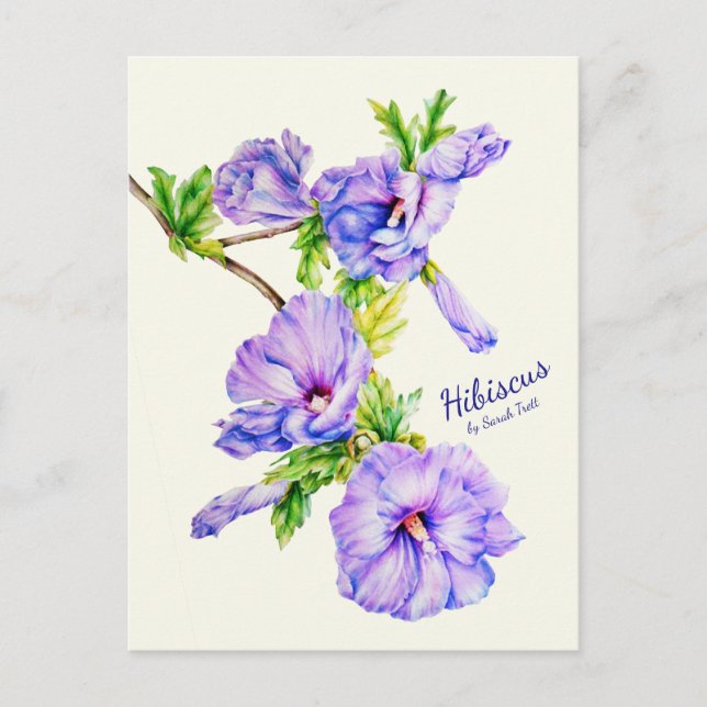 Färgat Hibiscus syriacus bra art ro vykort (Framsida)