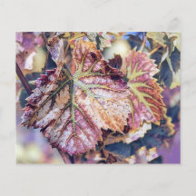 Färgat Höst löv med höst färger vattenfärg