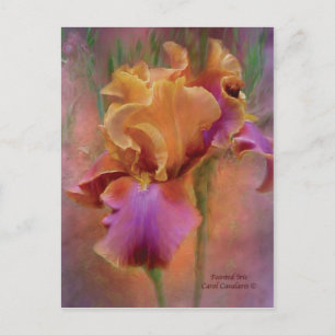 Färgat Iris Art-vykort Vykort