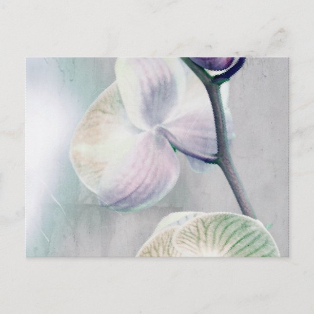 Färgat Orchid-vykort Vykort (Framsida)