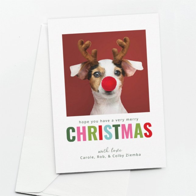 Färgat Pet-Hund-foto-julkort Julkort (Skapare uppladdad)