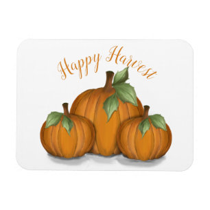 Färgat Pumpkins Magnet