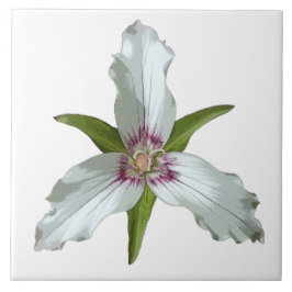 Färgat Trillium Vår Wildblomma Ceramic Tile Kakelplatta