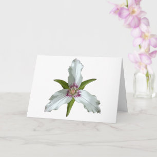 Färgat trillium Vår Wildblommor-gratulationskort Kort