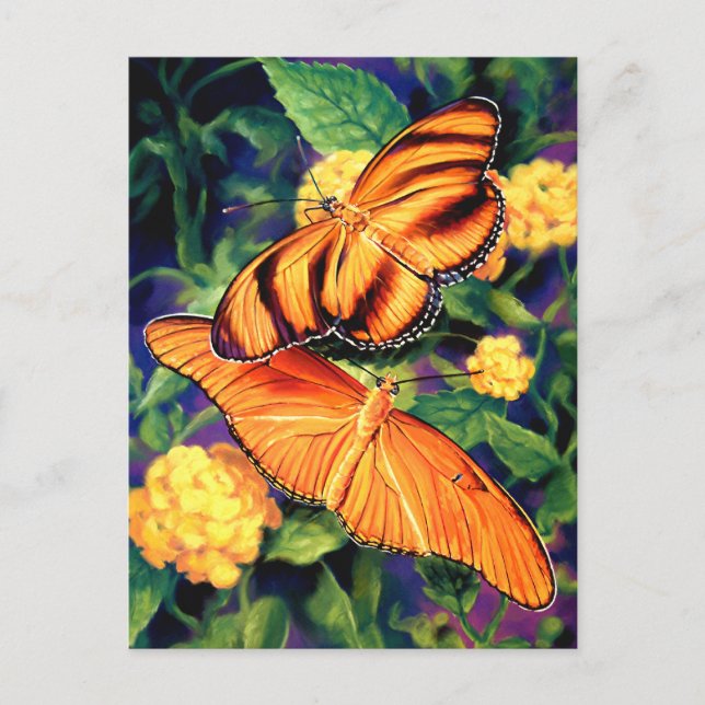 Färgat vykort för fjärilar (Framsida)